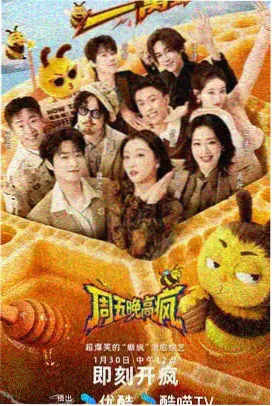 热播综艺